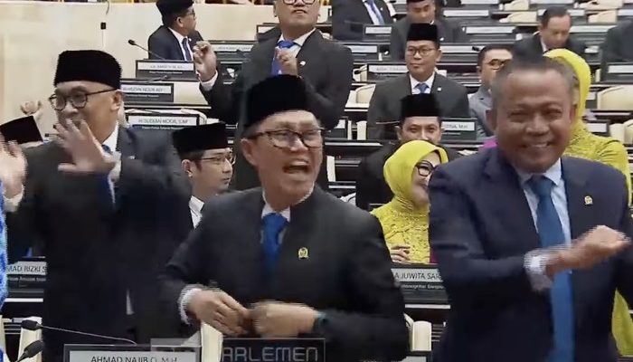 Anggota DPR